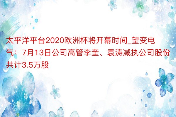 太平洋平台2020欧洲杯将开幕时间_望变电气：7月13日公司高管李奎、袁涛减执公司股份共计3.5万股