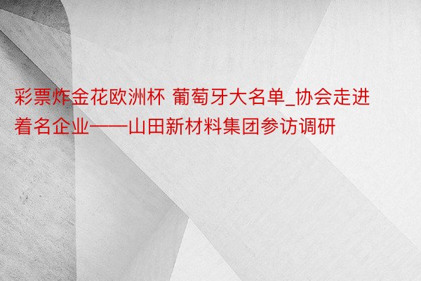 彩票炸金花欧洲杯 葡萄牙大名单_协会走进着名企业——山田新材料集团参访调研