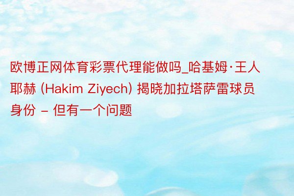 欧博正网体育彩票代理能做吗_哈基姆·王人耶赫 (Hakim Ziyech) 揭晓加拉塔萨雷球员身份 - 但有一个问题