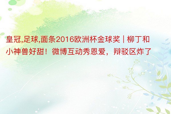 皇冠,足球,面条2016欧洲杯金球奖 | 柳丁和小神兽好甜！微博互动秀恩爱，辩驳区炸了