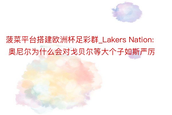 菠菜平台搭建欧洲杯足彩群_Lakers Nation: 奥尼尔为什么会对戈贝尔等大个子如斯严厉