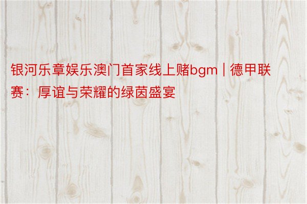 银河乐章娱乐澳门首家线上赌bgm | 德甲联赛：厚谊与荣耀的绿茵盛宴